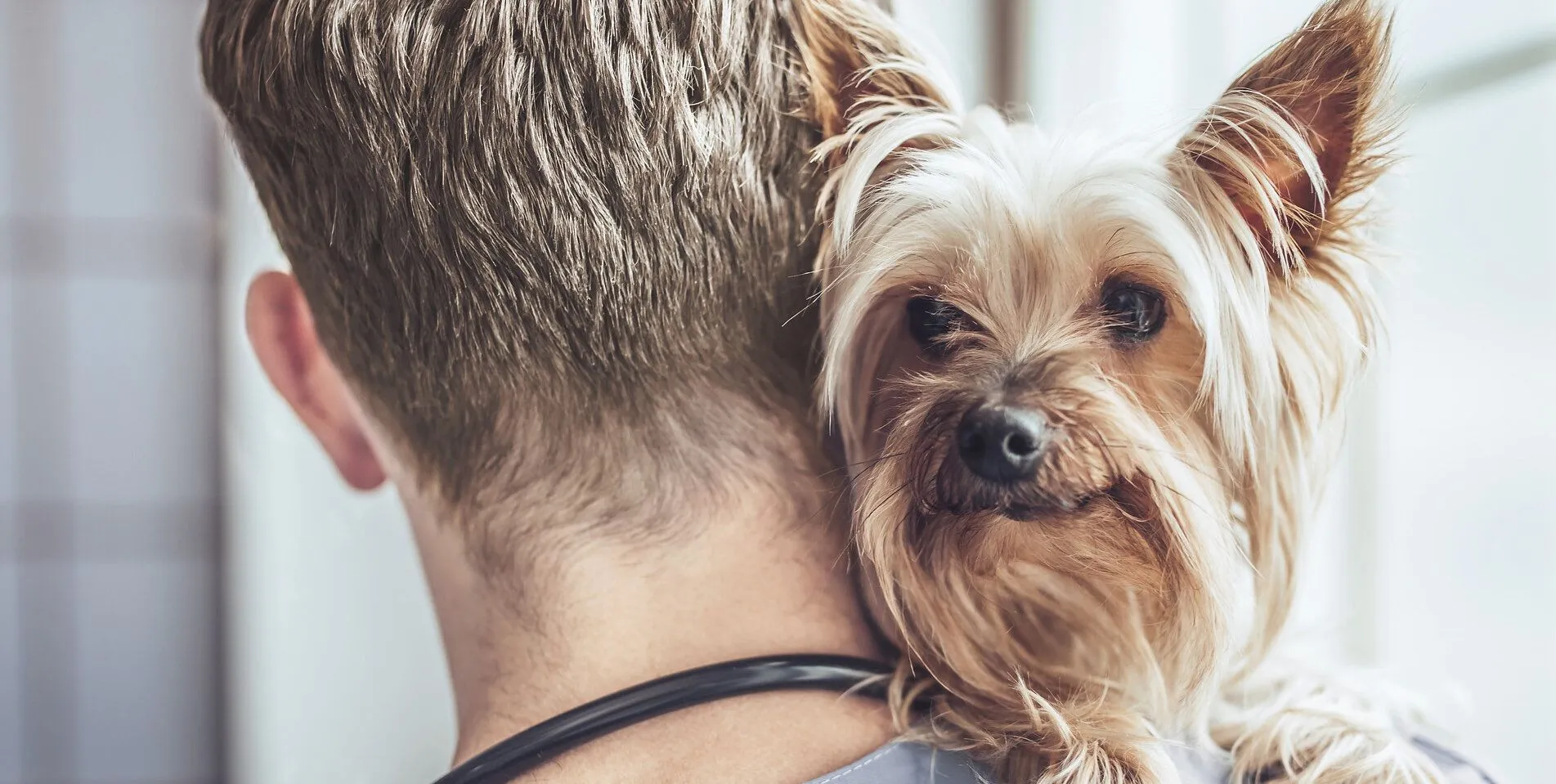 benefits of esa letter