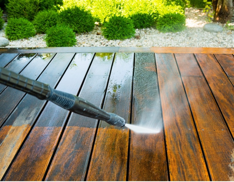 Mould Removal